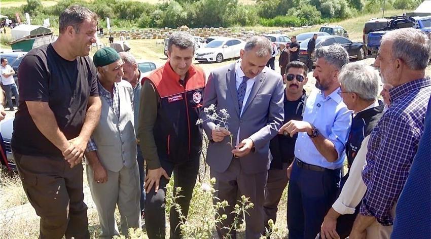 Ağrı'da 357 ton ürün alındı, karar sonra verildi: Geven Balı için iki adım atılacak
