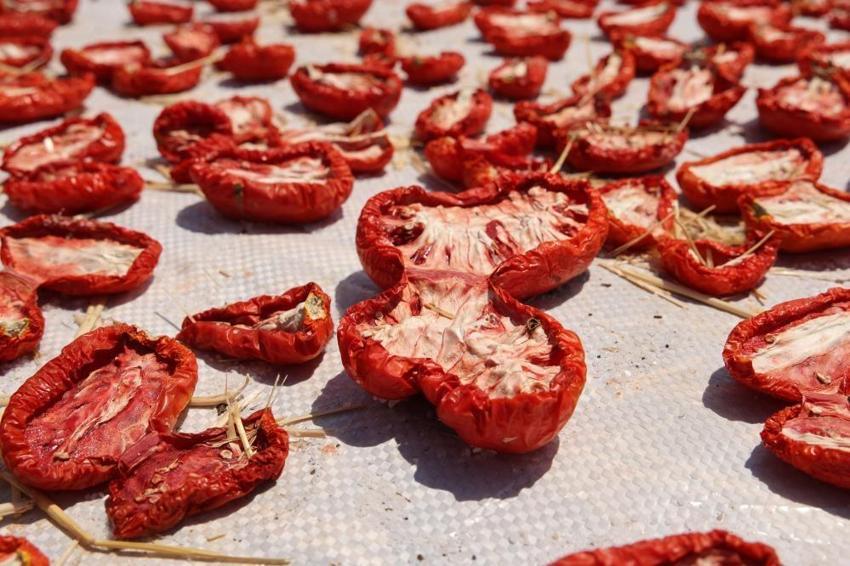 Diyarbakır'da kavurucu sıcakta zorlu hasat başladı! İtalya, ABD ve Hollanda'dan sipariş yağıyor