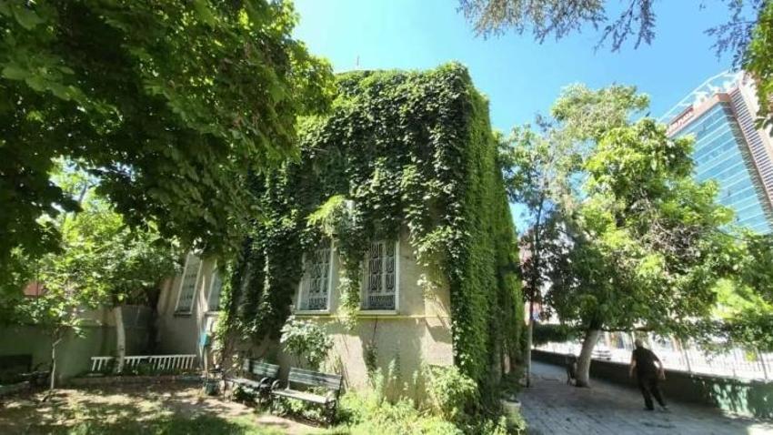 Eskişehir'de camide 15 yıldır nöbet tutuyor: Sarmaşıklarla kaplı caminin sırrı var
