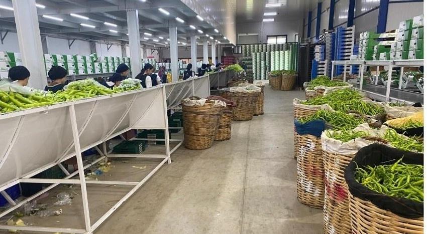 Bursa'nın ürünleri Avrupa'da yok satıyor: Talep yağan ürünler ihraç ediliyor