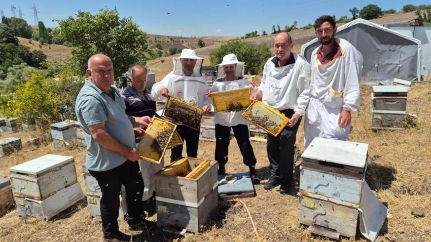 8 yıldır Karadeniz'de gizli bir şekilde yürütülüyordu, şimdi sonuçlarını vermeye başladı! Verimi katlayacak projede devrim gibi sonuç