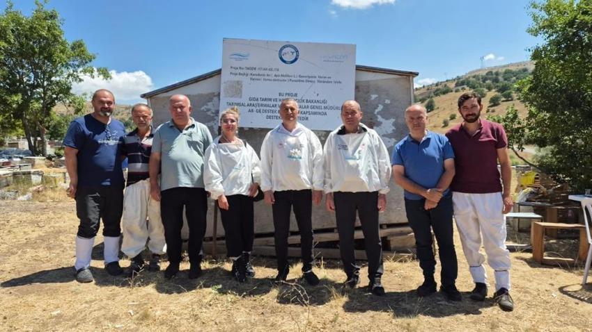 8 yıldır Karadeniz'de gizli bir şekilde yürütülüyordu, şimdi sonuçlarını vermeye başladı! Verimi katlayacak projede devrim gibi sonuç