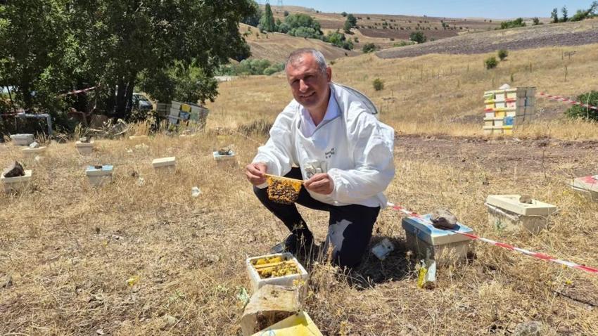 8 yıldır Karadeniz'de gizli bir şekilde yürütülüyordu, şimdi sonuçlarını vermeye başladı! Verimi katlayacak projede devrim gibi sonuç