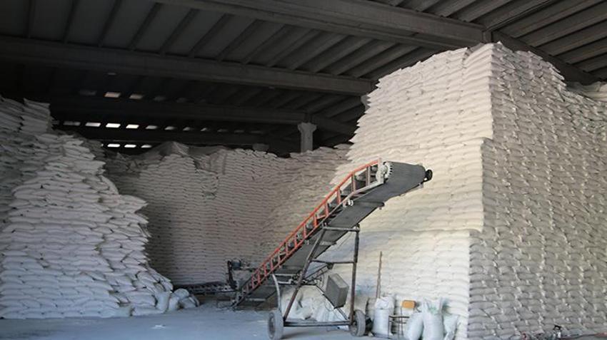 Muş Ovası'nda 2 milyarlık dev yatırım: 300 bin ton pancardan 42 bin ton şeker üretilecek!