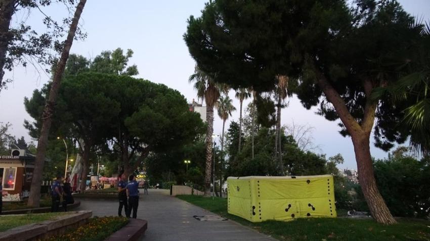 Antalya'da bunalıma girip ağaca çıktı: Sıcaktan da bunaldı ikna oldu