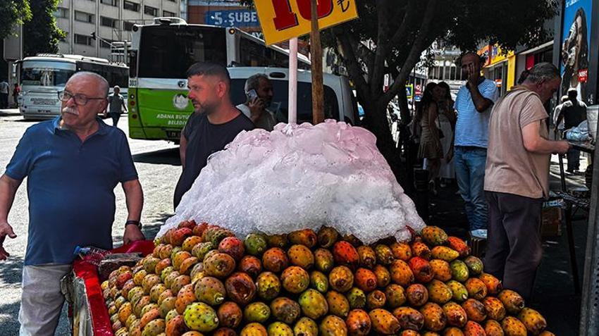 Adana sıcaktan yanarken imdada o koşuyor: Buz üstünde taneyle satılıyor, tanesi 10 TL'den kapış kapış gidiyor