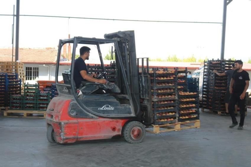 Denizli'de şeftali üreticisi kan ağlıyor: Rekolte yüksek ama çiftçi zorda! Rusya ihracatı durma noktasına geldi! 30 liradan 15 liraya düştü