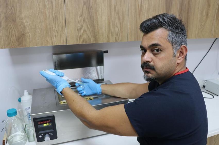 Sivas'ta bir ilk: Çiftleşemeyen yaşlı kangal tüp bebekle 11 yavru doğurdu!