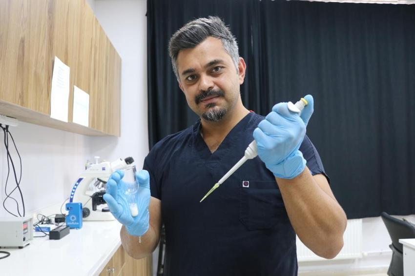 Sivas'ta bir ilk: Çiftleşemeyen yaşlı kangal tüp bebekle 11 yavru doğurdu!