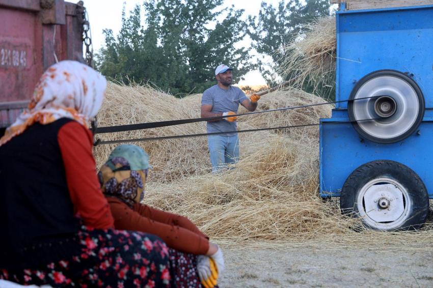 Sivas’ın kırsalarında hareketlilik arttı! Çiftçiler patoza başladı, masalsı görüntüler ortaya çıktı