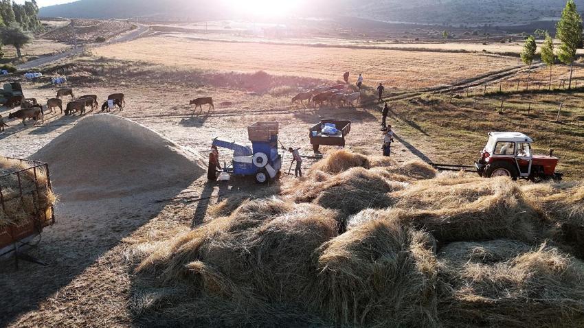 Sivas’ın kırsalarında hareketlilik arttı! Çiftçiler patoza başladı, masalsı görüntüler ortaya çıktı