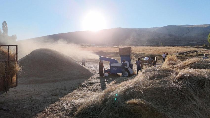 Sivas’ın kırsalarında hareketlilik arttı! Çiftçiler patoza başladı, masalsı görüntüler ortaya çıktı