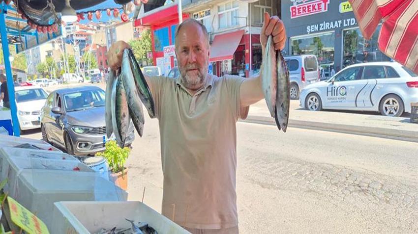 Yasak bitti, balık tezgahları şenlendi: Tanesi 100 liradan satışta!
