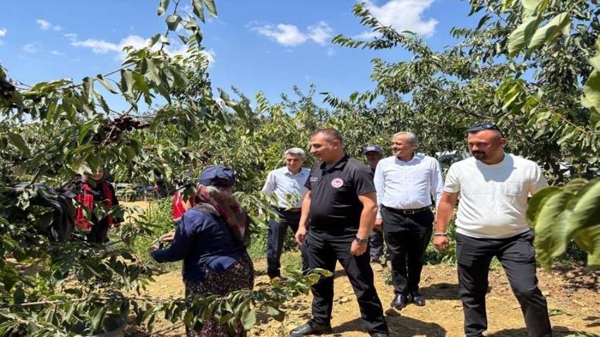 Türkiye’nin son hasadı Konya’da! Bin 900 metrede toplanıyor