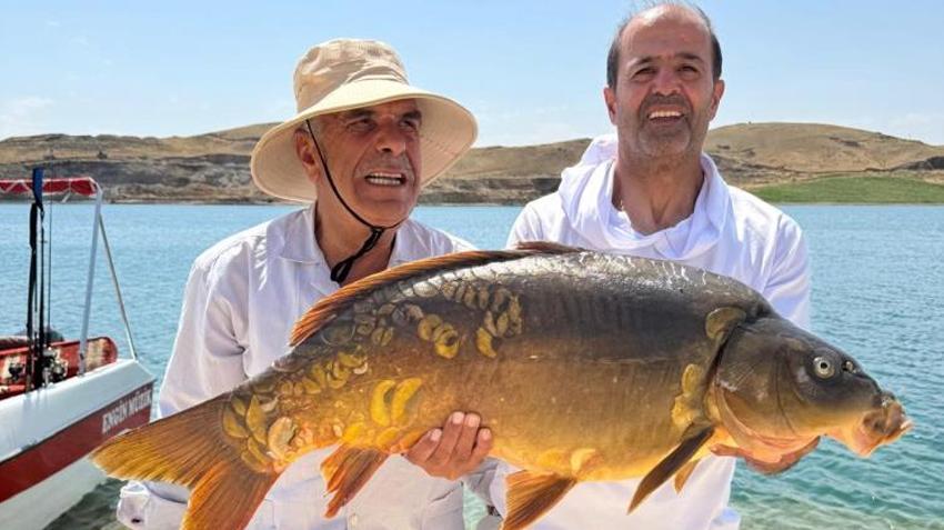 Elazığ'da gölde balık tutarken dondu kaldı: Tam 27 kiloluk yakaladı