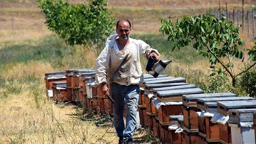 Bir zamanlar terörle anılan Zilan Yaylası'na bereket yağdı! İlk baharda bırakılan kovanlar dolup taştı