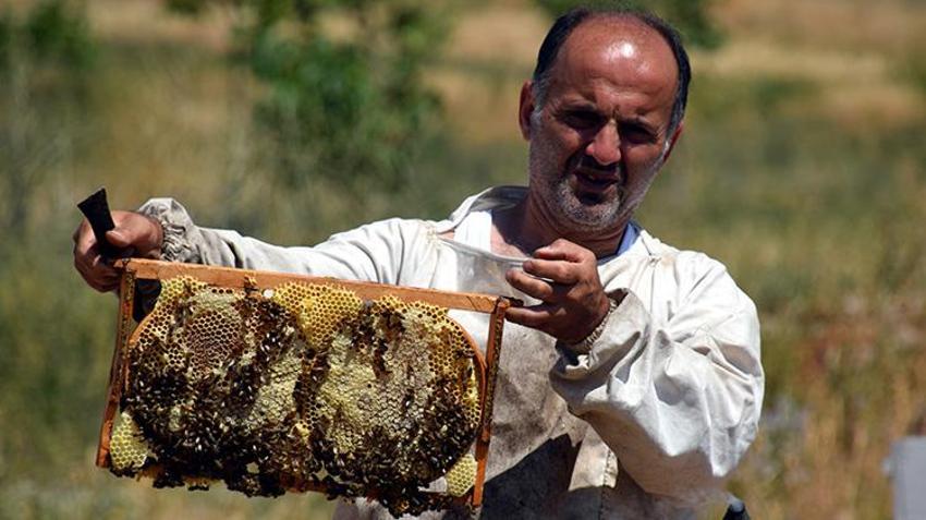 Bir zamanlar terörle anılan Zilan Yaylası'na bereket yağdı! İlk baharda bırakılan kovanlar dolup taştı