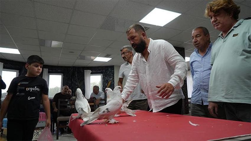 40 farklı şehirden Erzurum'a bunun için geldiler! 5 milyona satılıyor