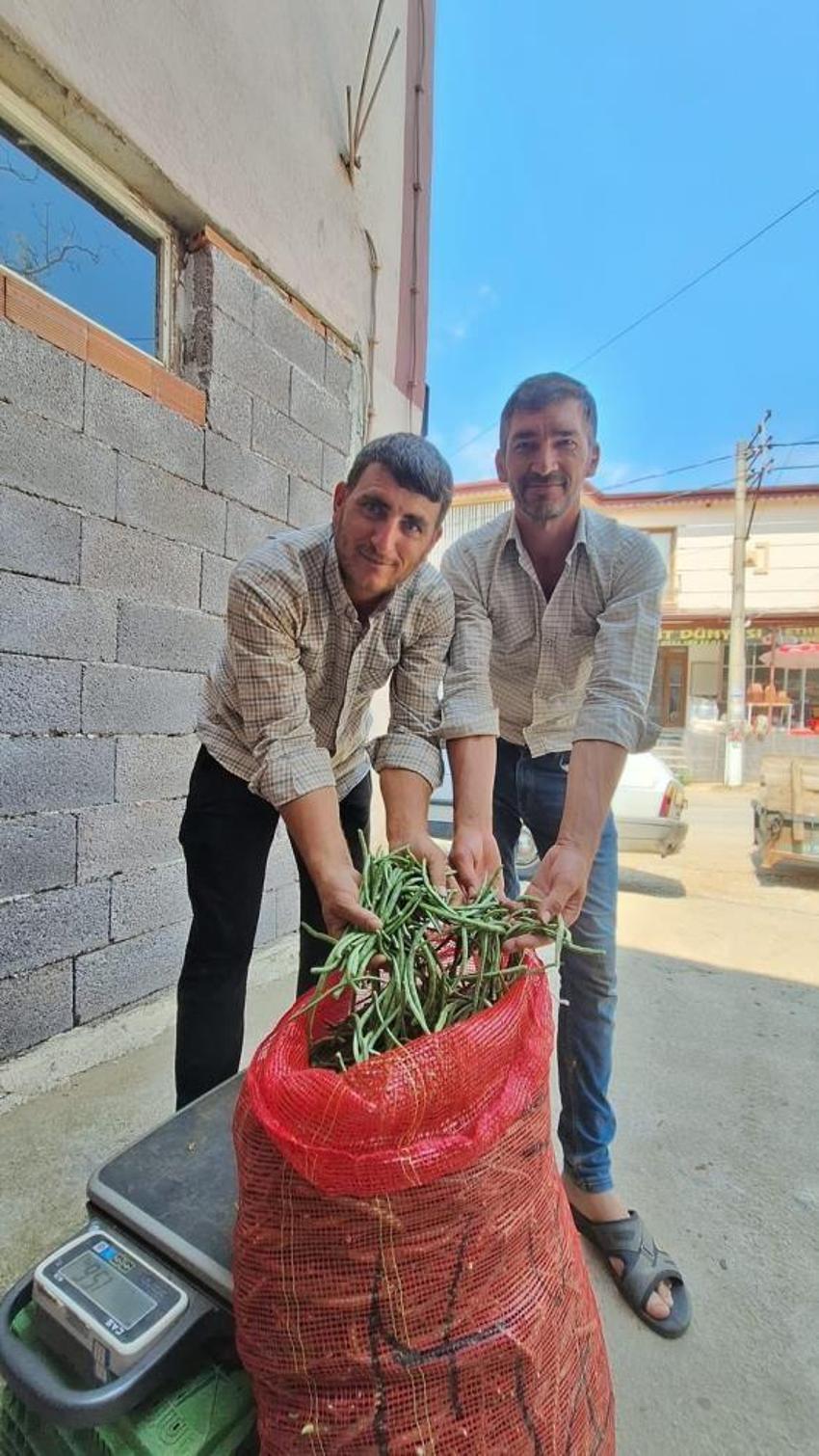 Yayla havasında yetişiyor, Kapış kapış satılıyor: Toptancıların gözdesi oldu! Günlük 4 ton satış yapılıyor