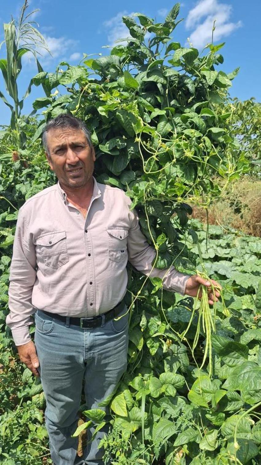 Yayla havasında yetişiyor, Kapış kapış satılıyor: Toptancıların gözdesi oldu! Günlük 4 ton satış yapılıyor