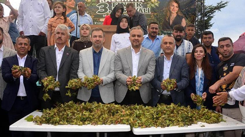 Fındık festivali bu sefer Karadeniz'de düzenlenmedi! Akdeniz bölgesinde yıllık üretim 200 tonu buldu