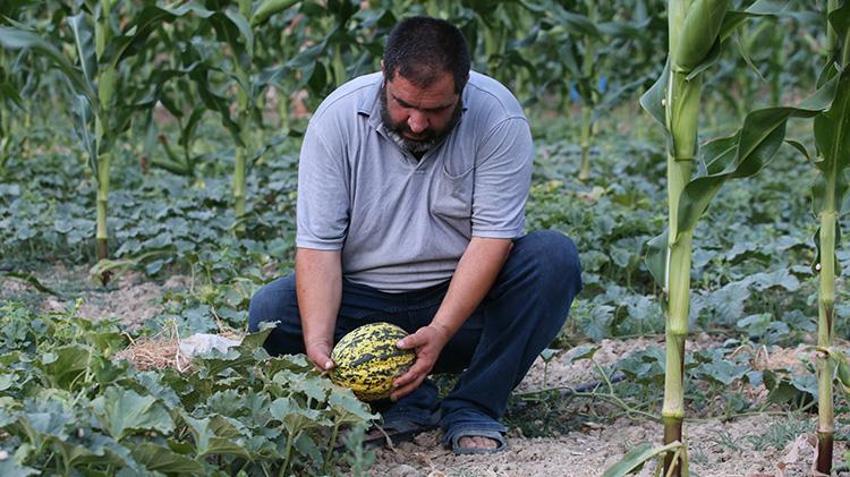 Kimyasala veda edince, satın almak için sıraya girdiler: Ata tohumuyla yetiştirdiği ürünler yok satıyor!