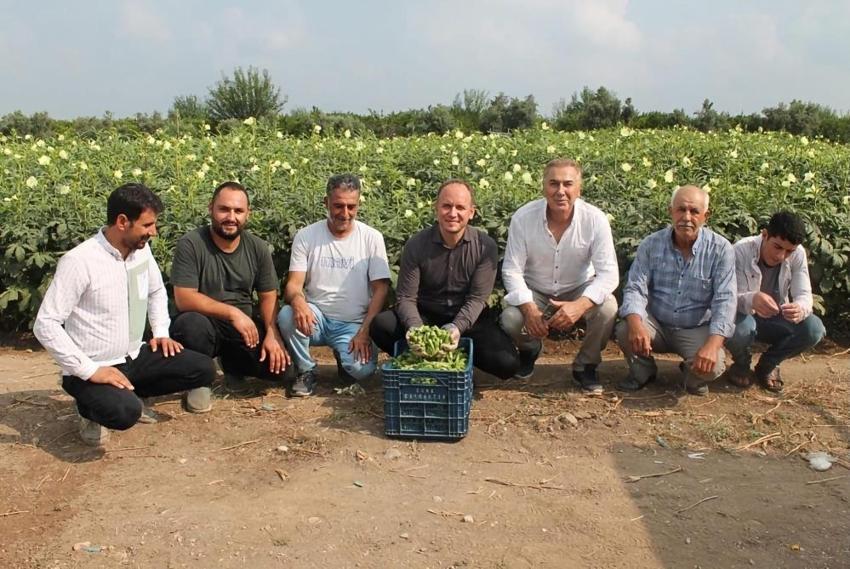 Erzin'de hasat mesaisi başladı! Tarladan çıkmadan kapışılıyor, çiftçinin yüzünü güldürüyor