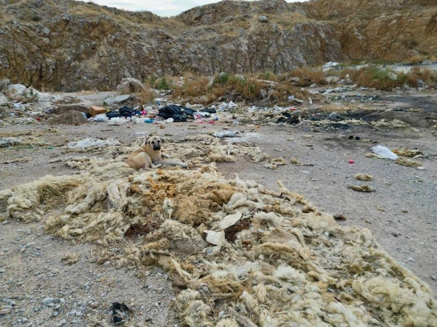Afyon'un kum ocağı tanınmaz hale geldi: Çevre felaketi yaşanıyor