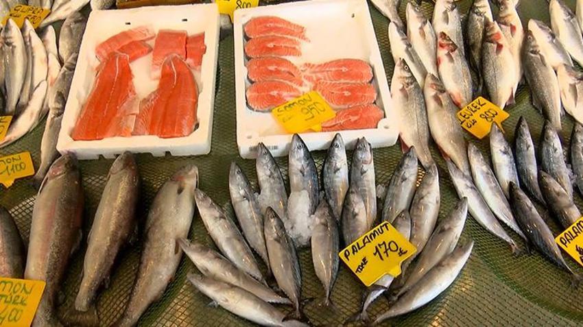 Av sezonu öncesi balıkçıları sevindiren gelişme: Marmara ve Karadeniz palamutla doldu