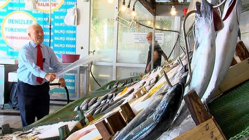 Av sezonu öncesi balıkçıları sevindiren gelişme: Marmara ve Karadeniz palamutla doldu