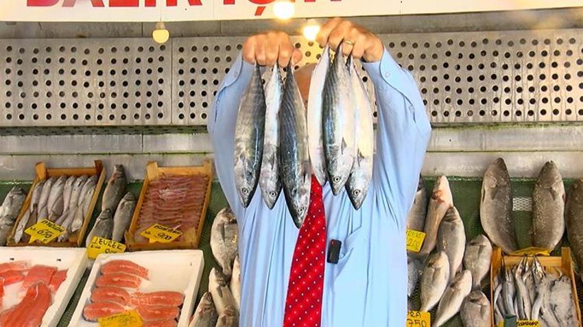 Av sezonu öncesi balıkçıları sevindiren gelişme: Marmara ve Karadeniz palamutla doldu