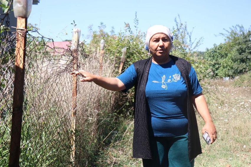 Vatandaşların 'Gulyabani' nöbeti: Adapazarı'nda mahalleli bir aydır dehşeti yaşıyor!