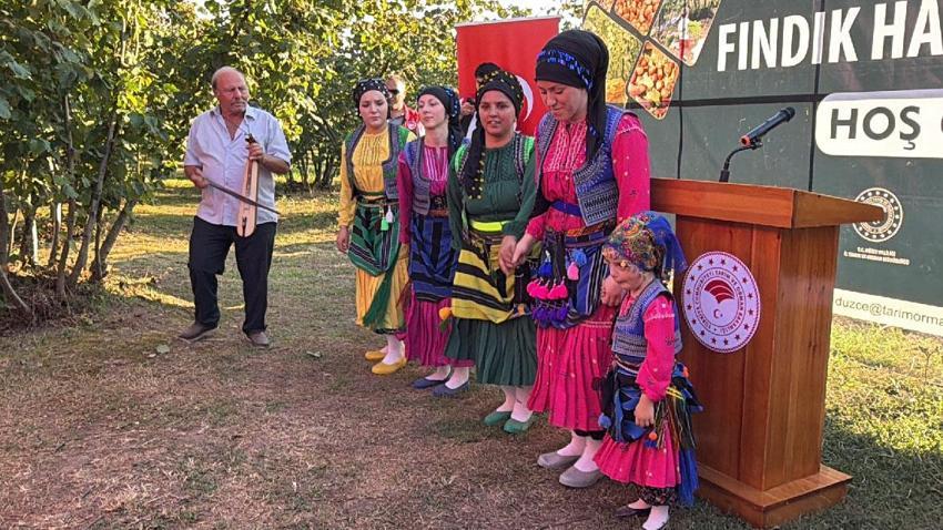 Düzce’de fındık hasat şenliği düzenlendi: Hedef 103 bin ton