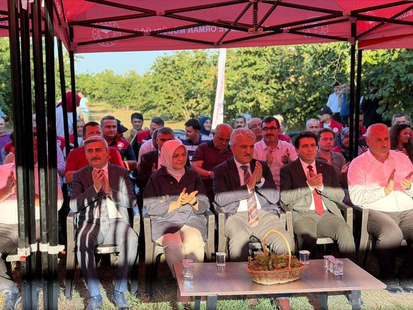 Düzce’de fındık hasat şenliği düzenlendi: Hedef 103 bin ton