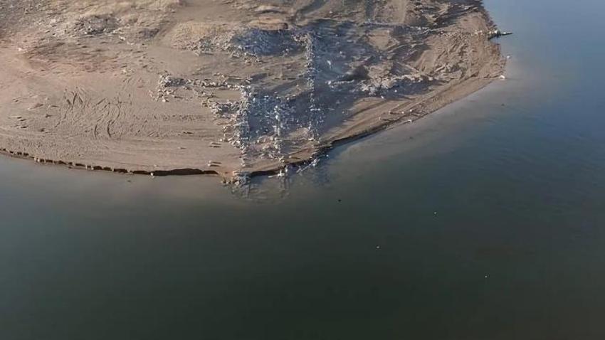 Bozkırın ortasında, denizden uzak bir hikâye: Kayseri'de şaşırtan üretim