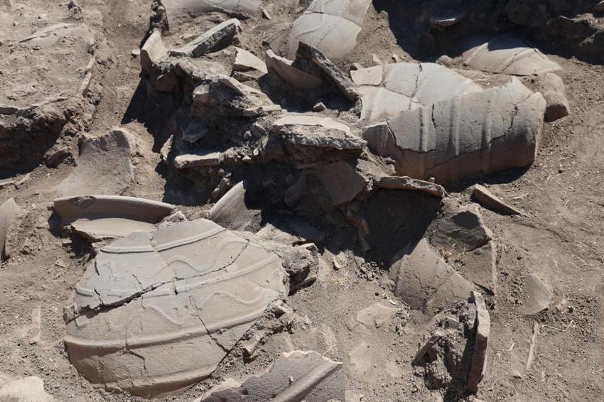 Elazığ'da çiftçi tarlasına fidan dikerken fark etti! 84 metrekarelik mozaiğin altı dev bir Roma yerleşimi çıktı