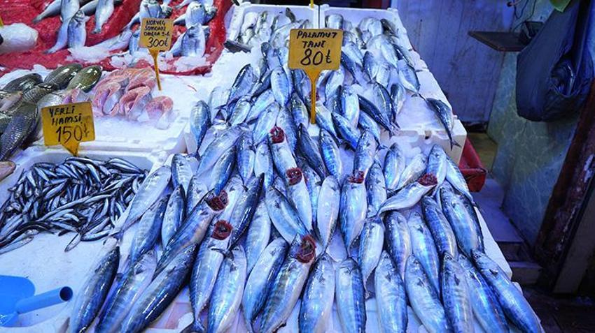 Tezgâhlar şenlendi, balıkçılardan müjdeli haber geldi: Fiyatlar düşecek! 'En son 5-6 yıl önce böylesi görüldü'
