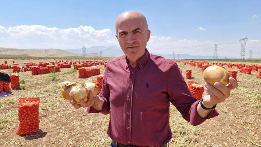 Tarlada kilosu 15 lira sofraya gelene kadar 60 lirayı buluyor! Yazlık soğan üreticisinin yüzünü güldürüyor