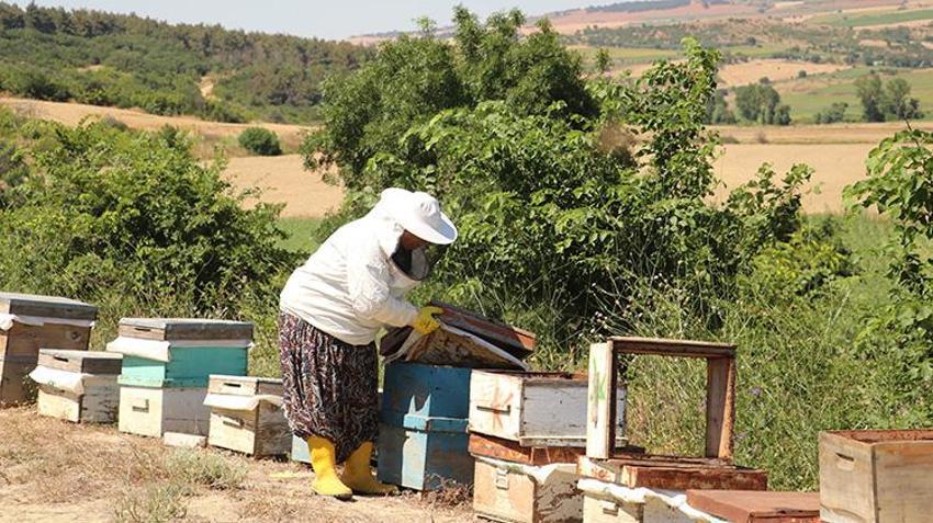 30 yıl önce tarlada bulduğu tek bir kovanla başlamıştı! Eşinin desteğiyle dev çiftliğe dönüştürdü