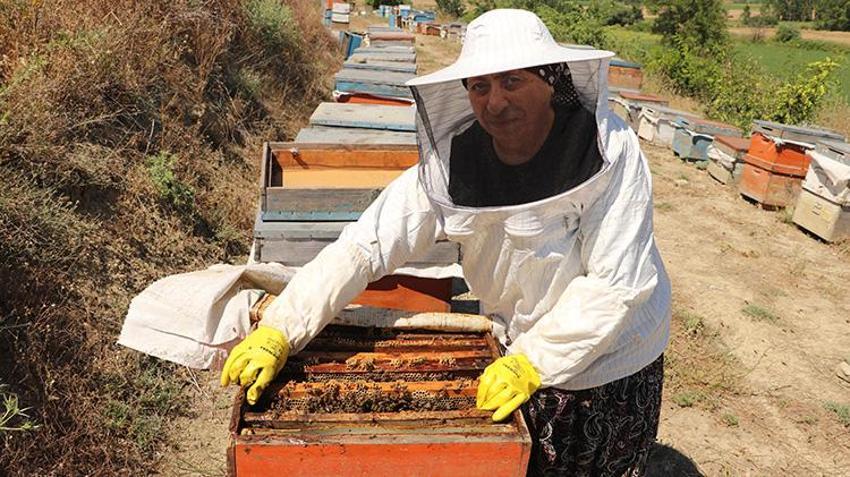 30 yıl önce tarlada bulduğu tek bir kovanla başlamıştı! Eşinin desteğiyle dev çiftliğe dönüştürdü