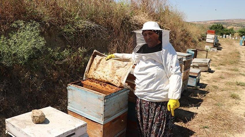 30 yıl önce tarlada bulduğu tek bir kovanla başlamıştı! Eşinin desteğiyle dev çiftliğe dönüştürdü
