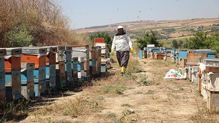 30 yıl önce tarlada bulduğu tek bir kovanla başlamıştı! Eşinin desteğiyle dev çiftliğe dönüştürdü