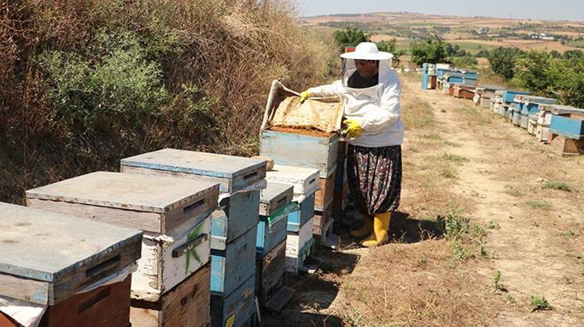 30 yıl önce tarlada bulduğu tek bir kovanla başlamıştı! Eşinin desteğiyle dev çiftliğe dönüştürdü