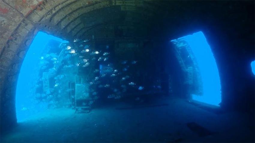 Denizin altındaki dev 10 yaşında: Kuşadası'ndaki batık uçak dalış tutkunlarını büyülüyor