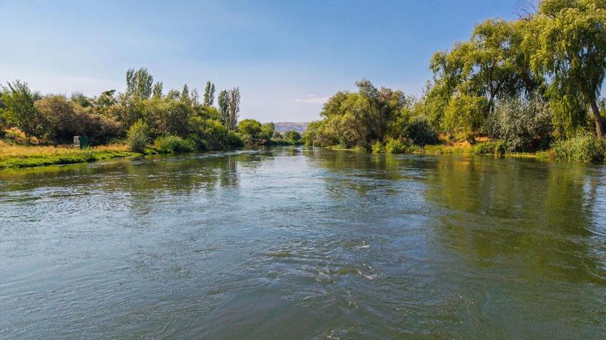 Türkiye'nin en uzun nehri Kızılırmak hareketlendi: Valilik uyarmıştı, barajlardaki su bırakılınca seviye yükseldi