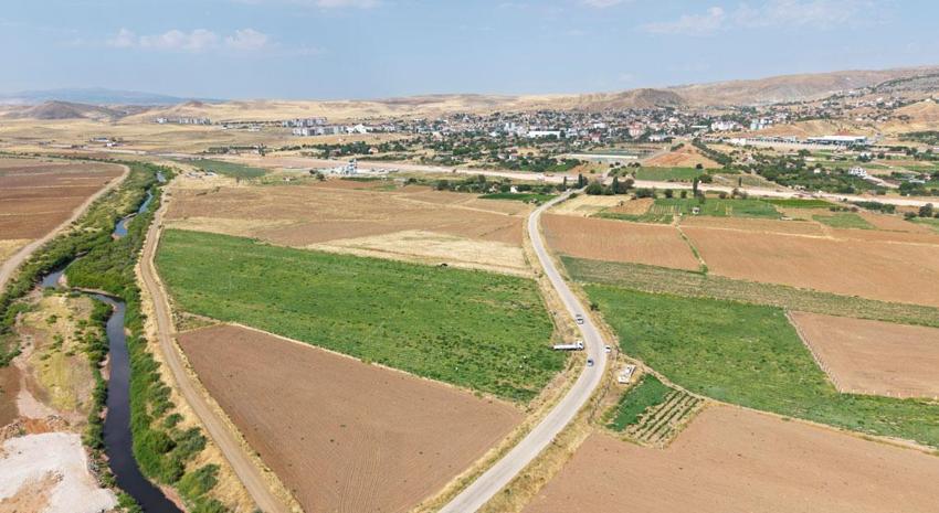 Lezzetiyle öne çıkan Delice kavununun hasadı üreticinin yüzünü güldürdü: Rekolte de kalite de yüksek