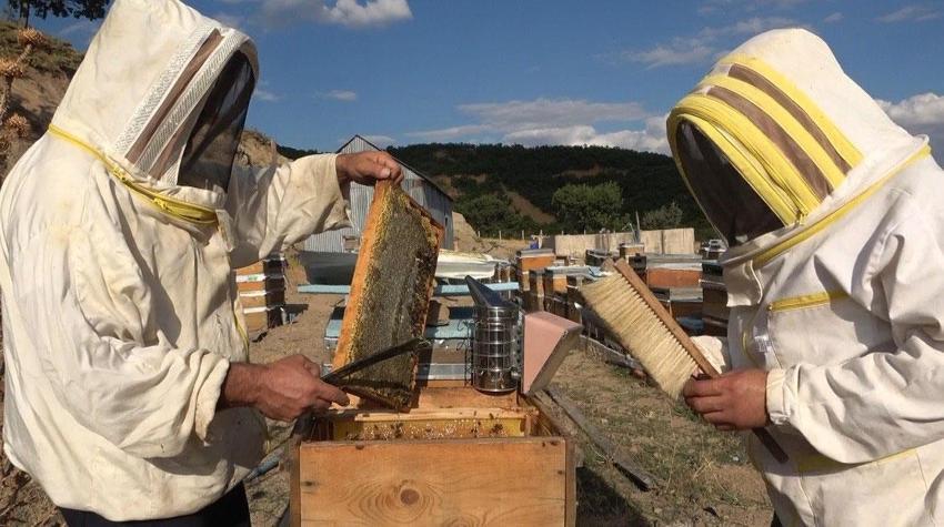 Tunceli'nin eşsiz doğasında binlerce çiçekten sofralara uzanan emek: Bal sağımı başladı
