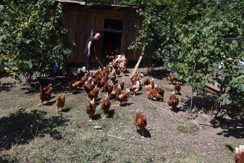 Dükkanını kapatıp köyüne döndü, hobi olarak başladığı tavukçulukta müşterilere yetişemiyor