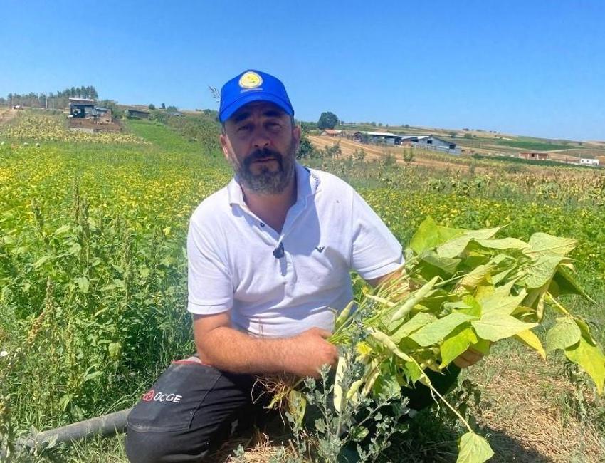 Bursa'da tavsiye üzerine ektiler, altın değerine ulaştı: 1 dönümle başladılar, şimdi bin dönümden para basıyorlar!