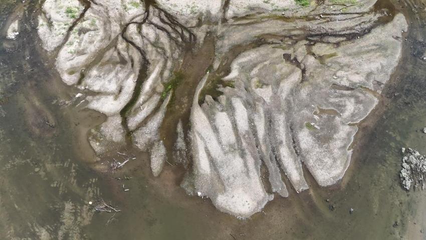Edirne'de alarm veren kuraklık: Tunca Nehri'nin debisi 4 metreküpe düştü